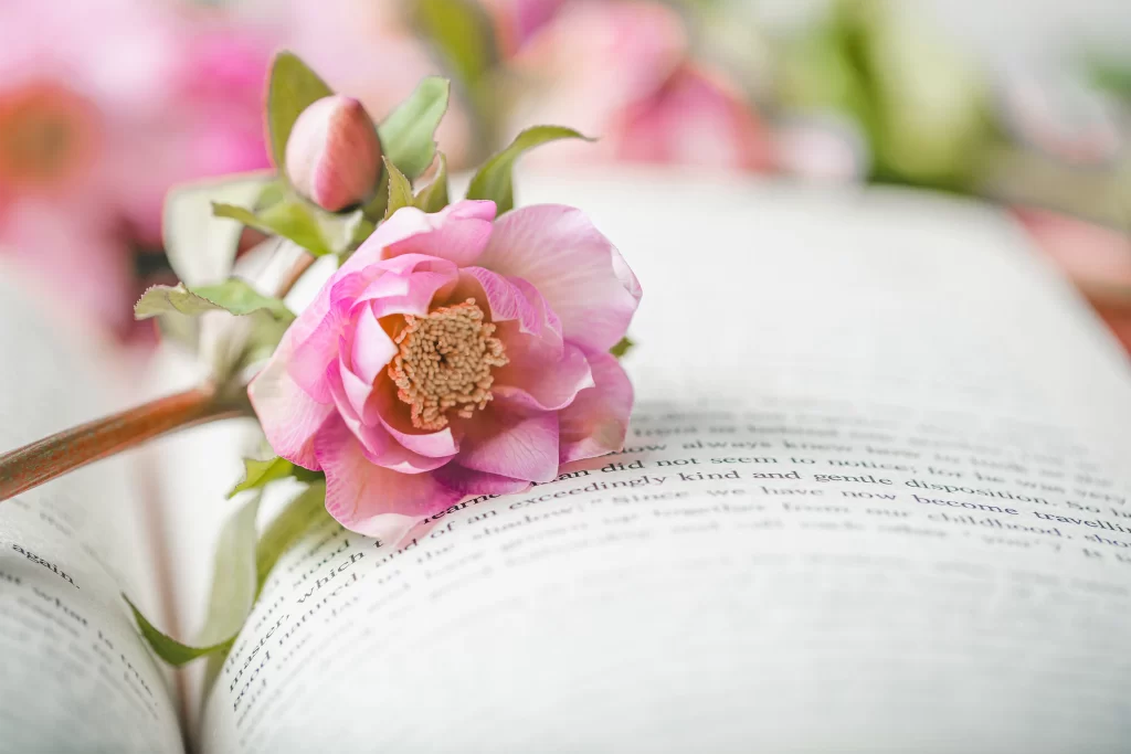 flower book close up