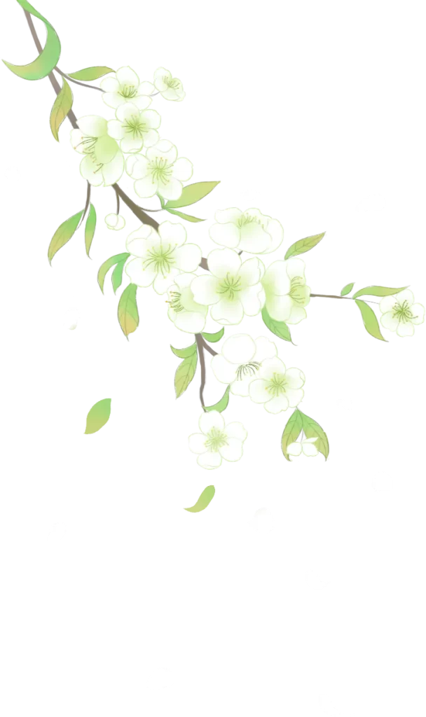 flower pear blossom