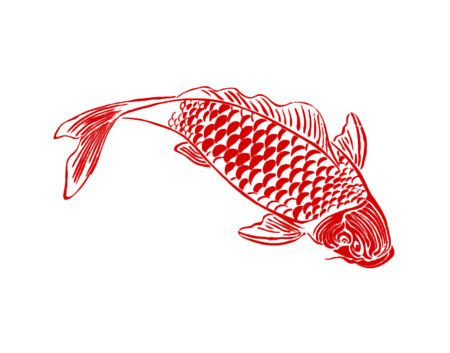 koi fish