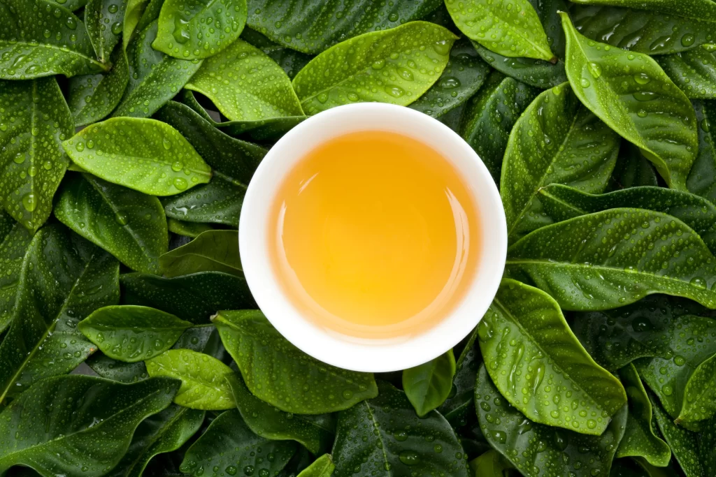 tea leaves cup