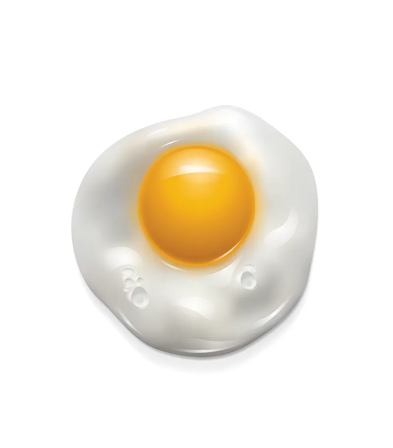 Fried Egg icon