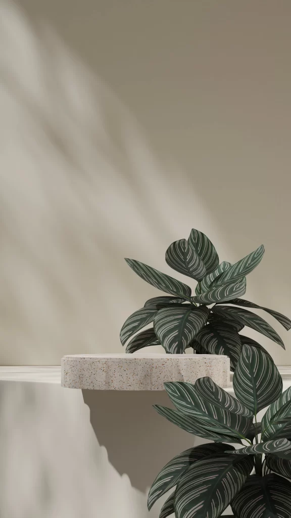 background stage E-commerce potted plant leaves