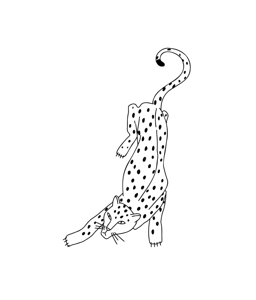 cheetah leopard vector lines sketch