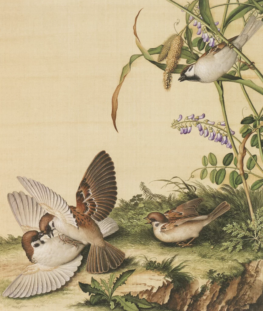 Giuseppe Castiglione Chinese Ink Painting Sparrow bird