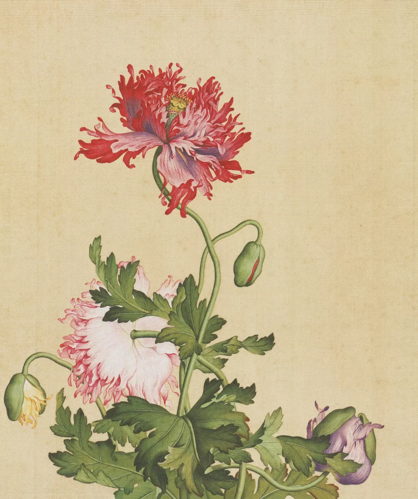 Giuseppe Castiglione flower Chinese Ink Painting