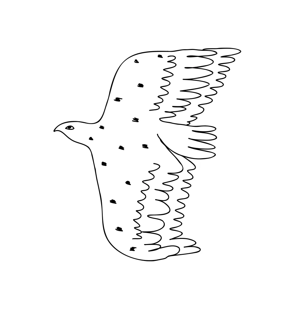 bird eagle illustration vector lines