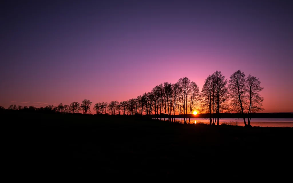 Sunset Silhouette Trees Purple Sky Lake Twilight