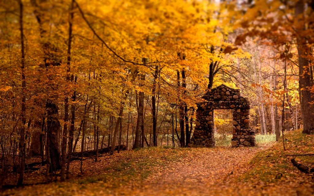 Autumn Forest Pathway Stone Archway Fallen Leaves