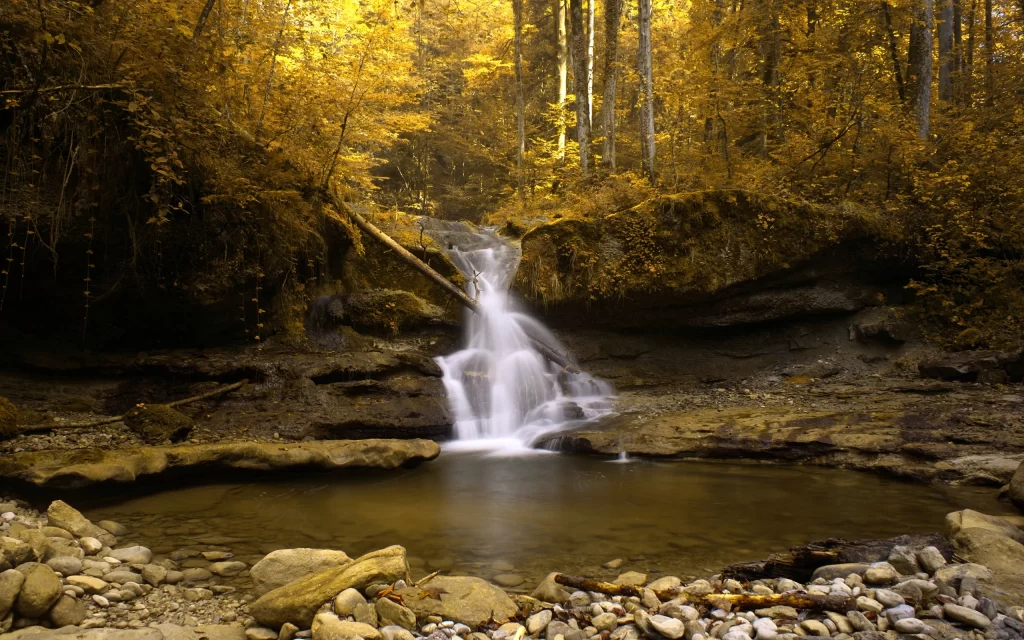 Autumn Forest Waterfall Rocks Stream Nature
