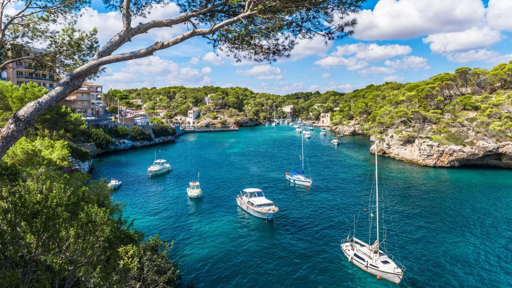 Boats Water Trees Sky Blue Green
