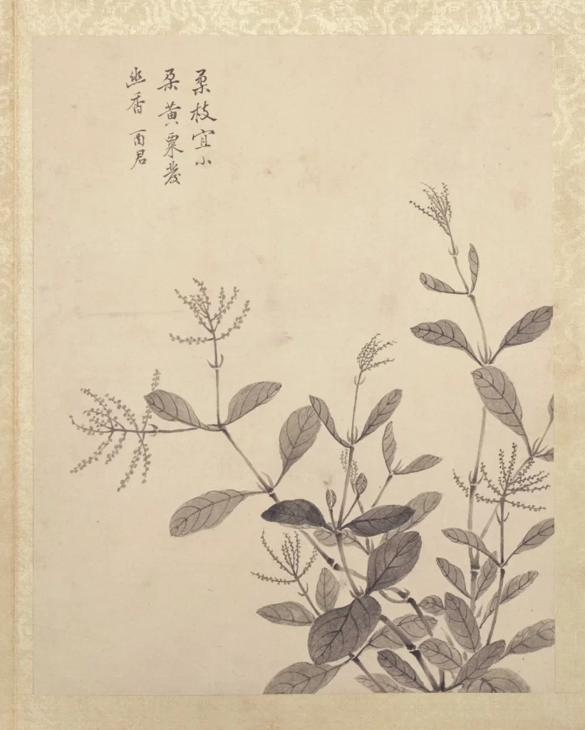 Botanical Monochrome Delicate Brushwork Heritage Ink Jiang T