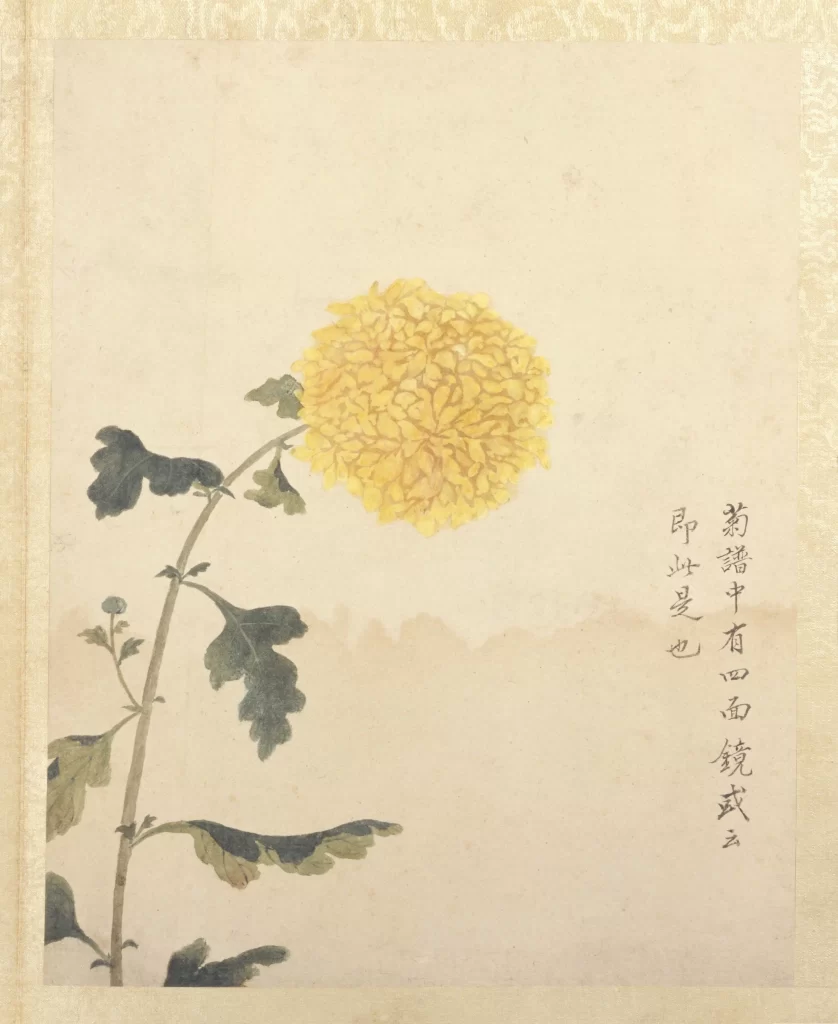 Chrysanthemum Brushwork Simplicity Elegance Nature Ink Jiang
