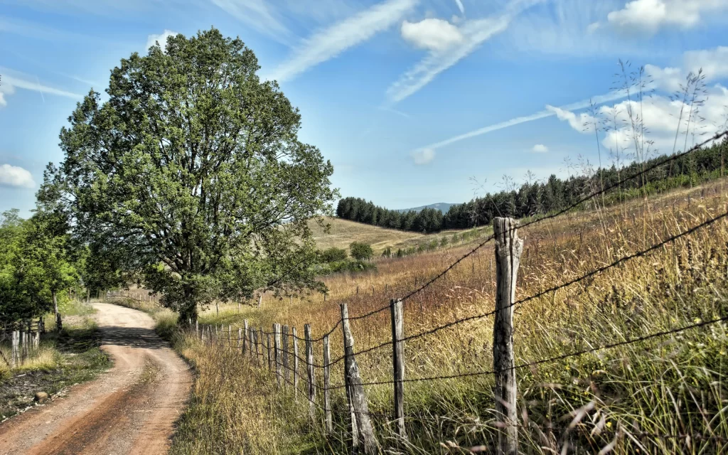 Country Road Barbed Wire Fence Green Tree Blue Sky White Clouds Rolling Hills