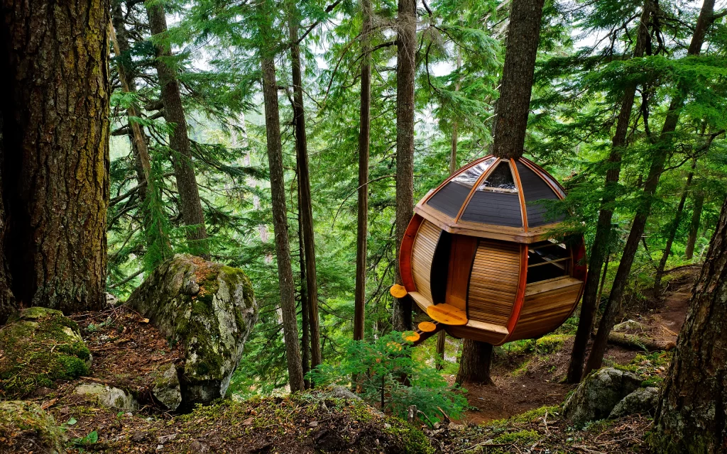Forest Treehouse Nature Woodland Rustic Cabin Elevated Retreat