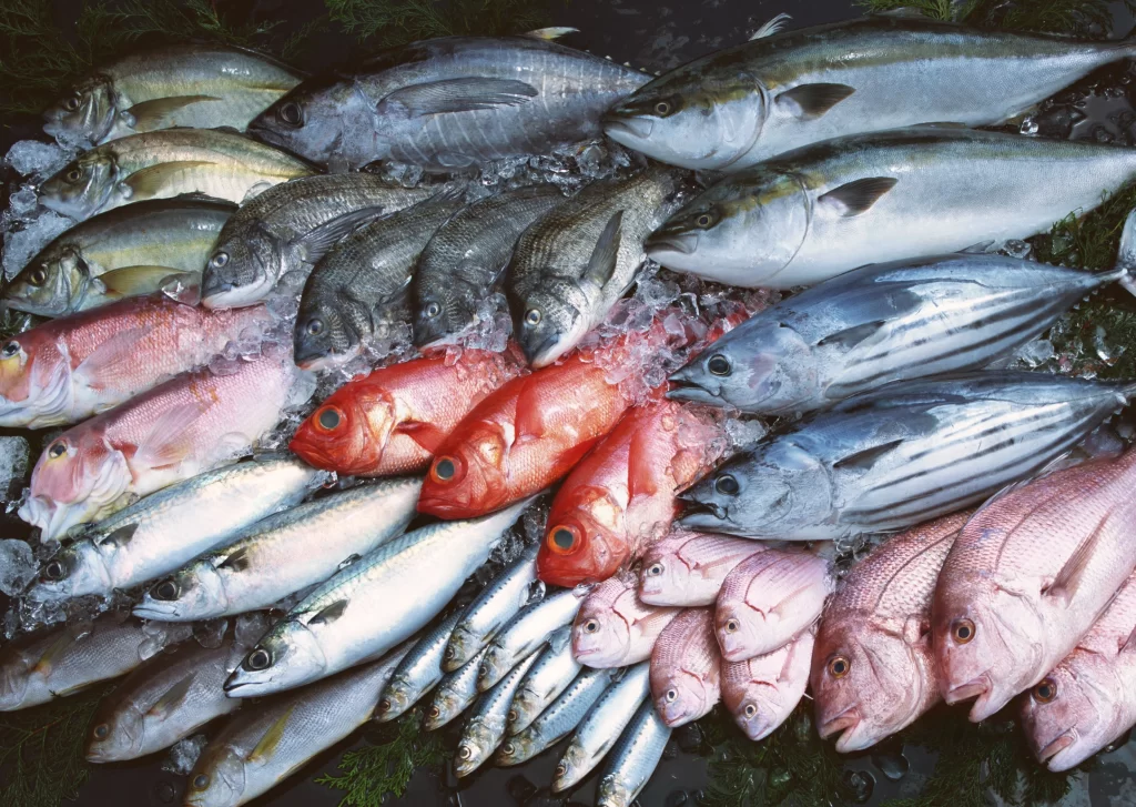 Fresh Fish Assorted Colors Ice
