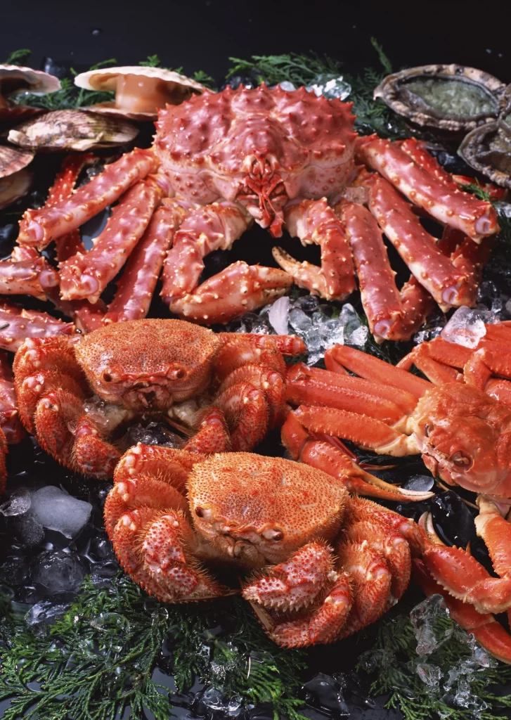 Crab Red Shell Ice Fresh