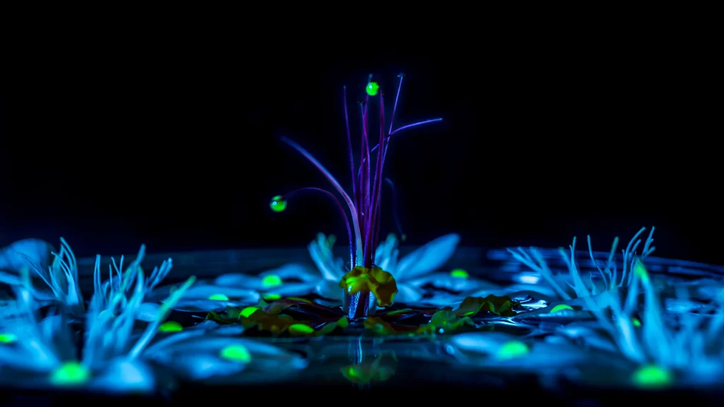 Abstract Neon Colors Futuristic Organic Shapes Surreal Digital Art