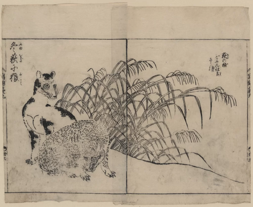Animal Nature Grass Traditional Art Winter