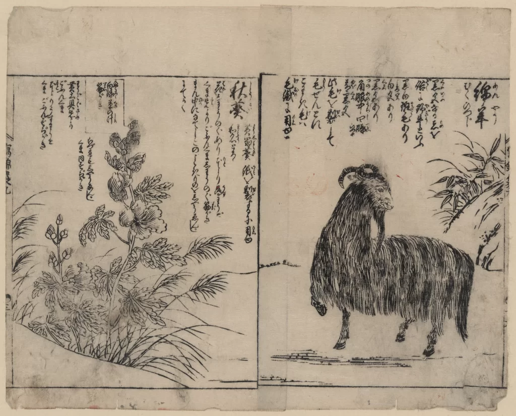 Animal Plant Nature Traditional Art Japanese