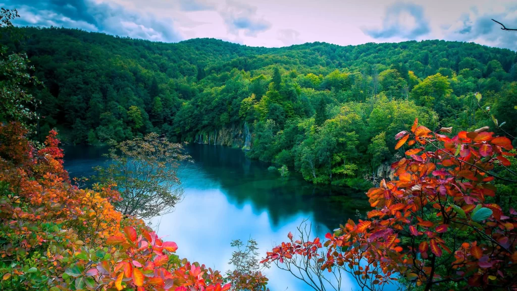 Autumn Lake Forest Trees Colorful Nature