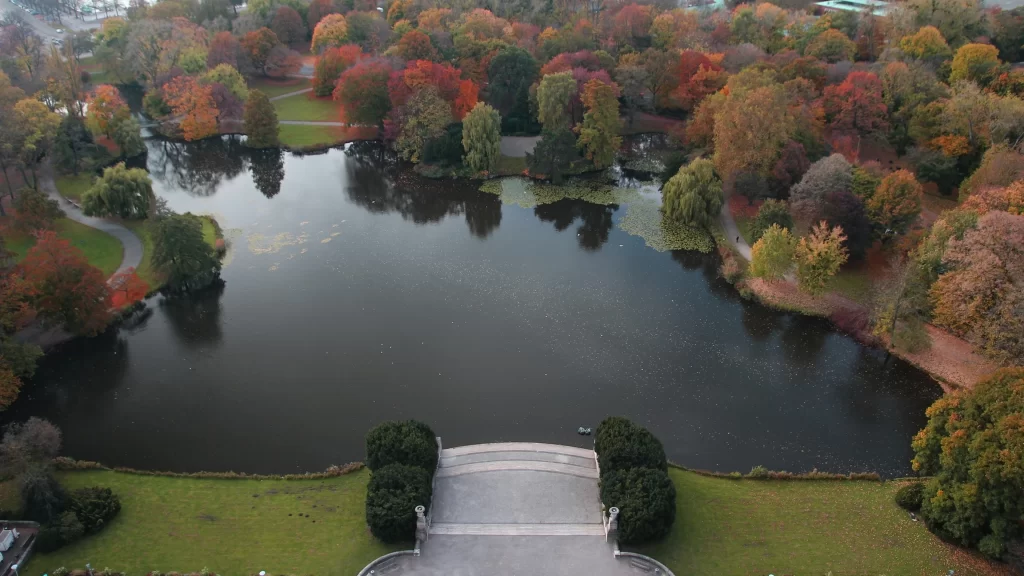 Autumn lake trees reflection park scenery