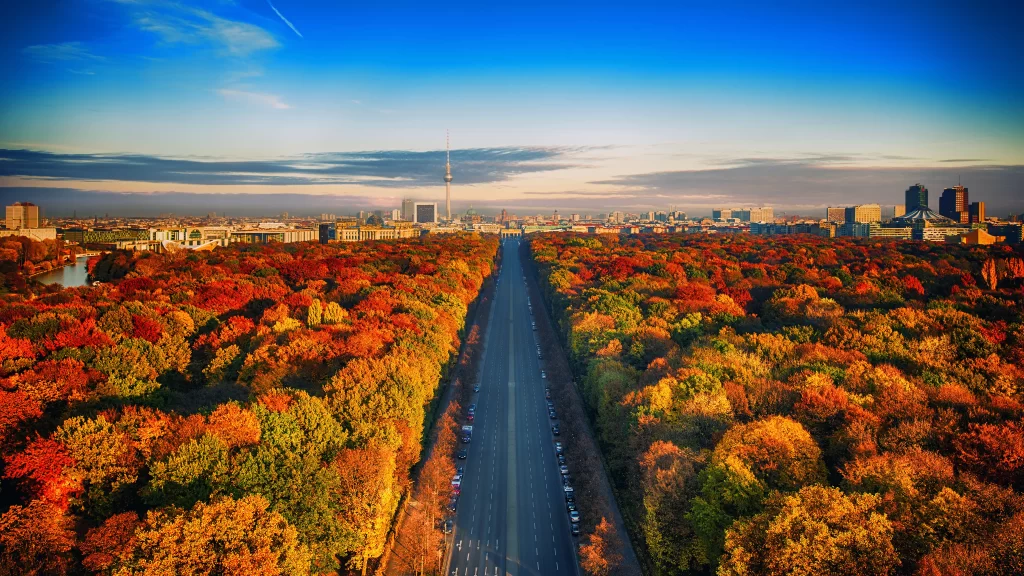 Autumn Trees Cityscape Road Buildings Blue Sky Sunset