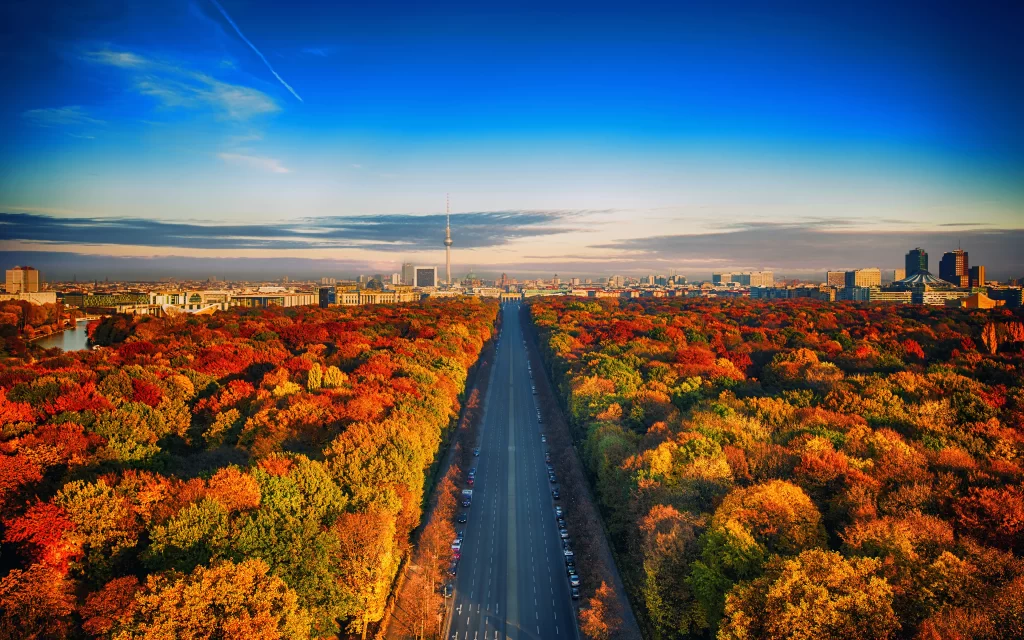 Autumn Trees Cityscape Road Buildings Clear Sky Vibrant Colors