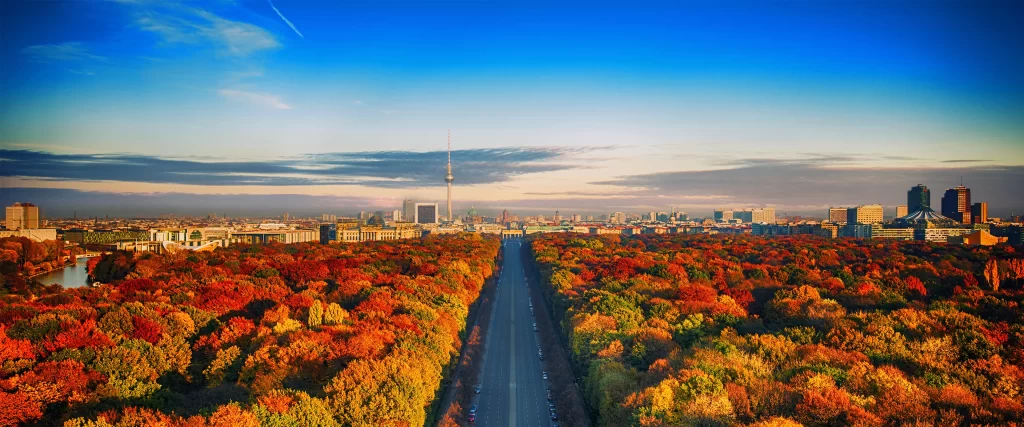 Autumn Trees Cityscape Road Buildings Clear Sky Vibrant Colors