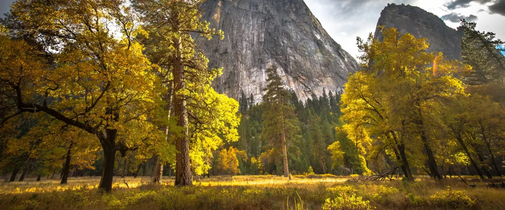 Autumn Trees Mountains Sunlight Forest Nature