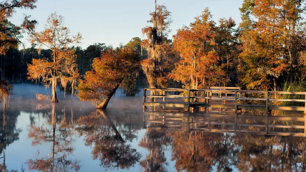 Autumn trees reflection water mist wooden bridge serene nature