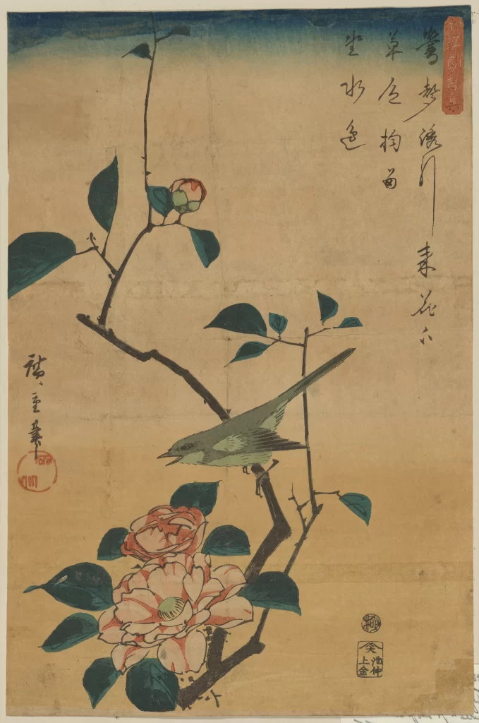 Bird Flower Branch Leaves Blossom