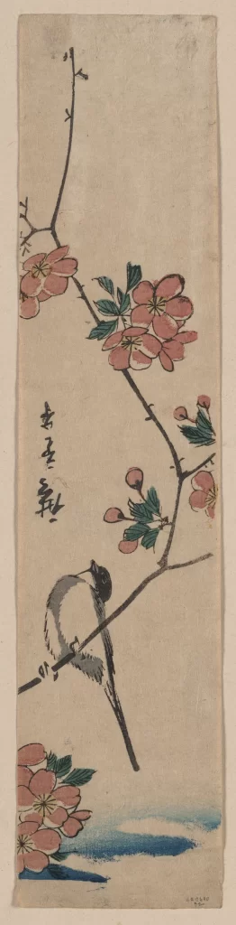 Bird Flowers Branch Blossoms Leaves