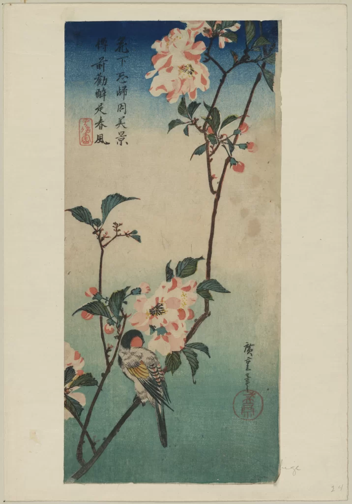 Bird Flowers Branches Leaves Sky