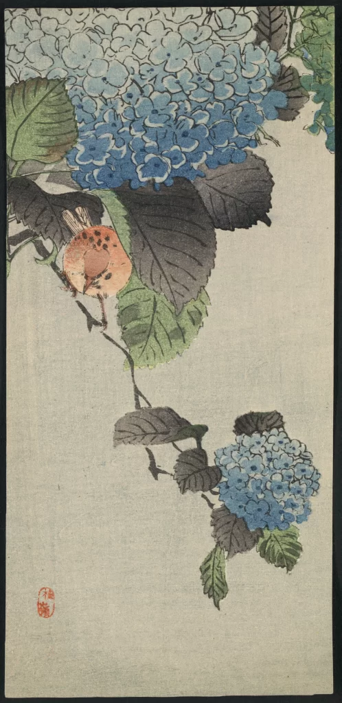 Bird Flowers Leaves Blue Green