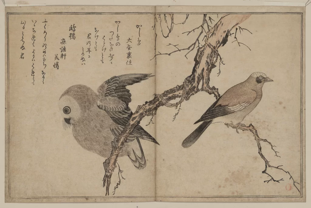Birds Branch Nature Japanese Art Traditional