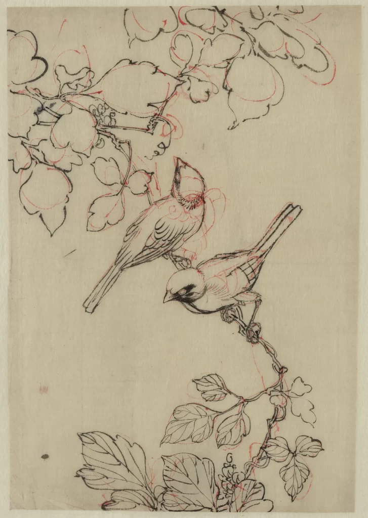 Birds Branches Leaves Blossoms Red Outlines