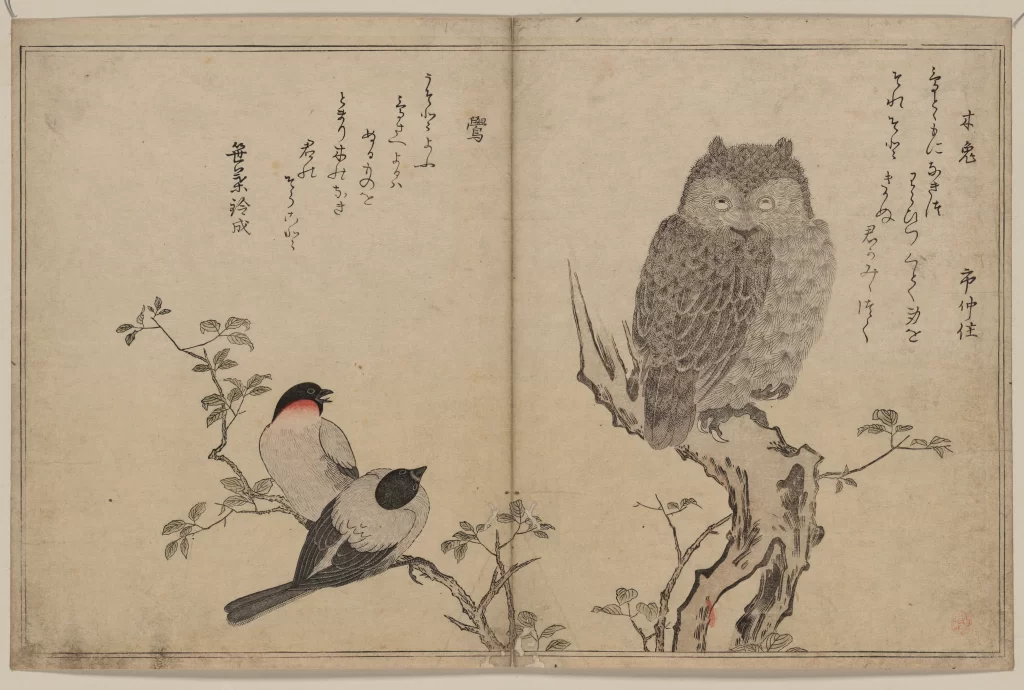 Birds Owl Branch Leaves Japanese Script Traditional Art