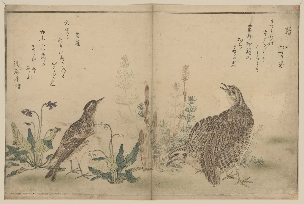 Birds Plants Nature Japanese Art Traditional