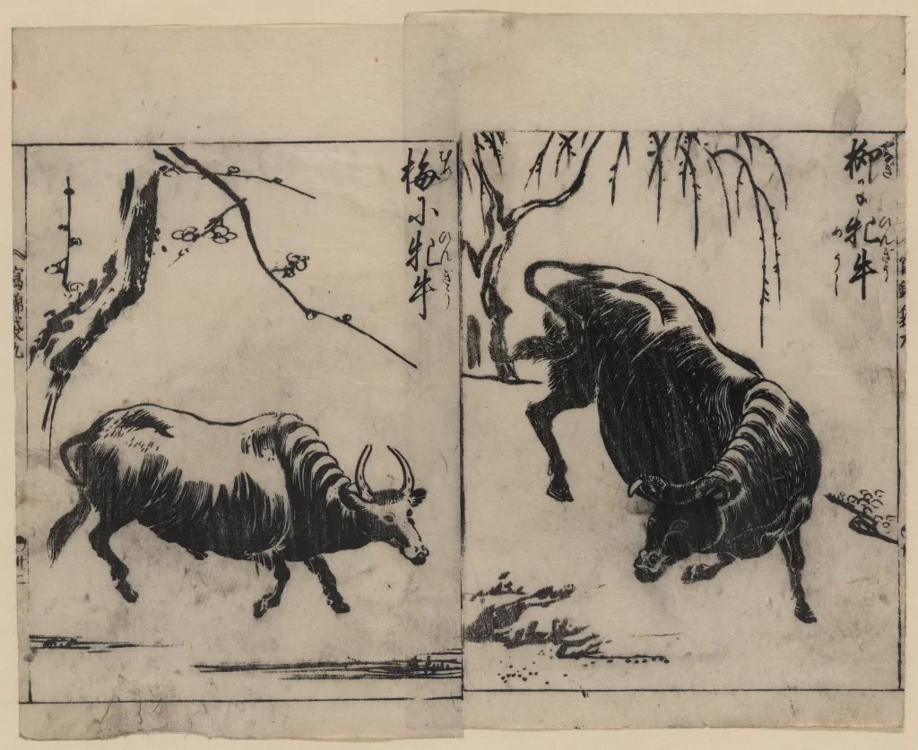 Bull Nature Traditional Art Japanese Ukiyo-e Woodblock Print