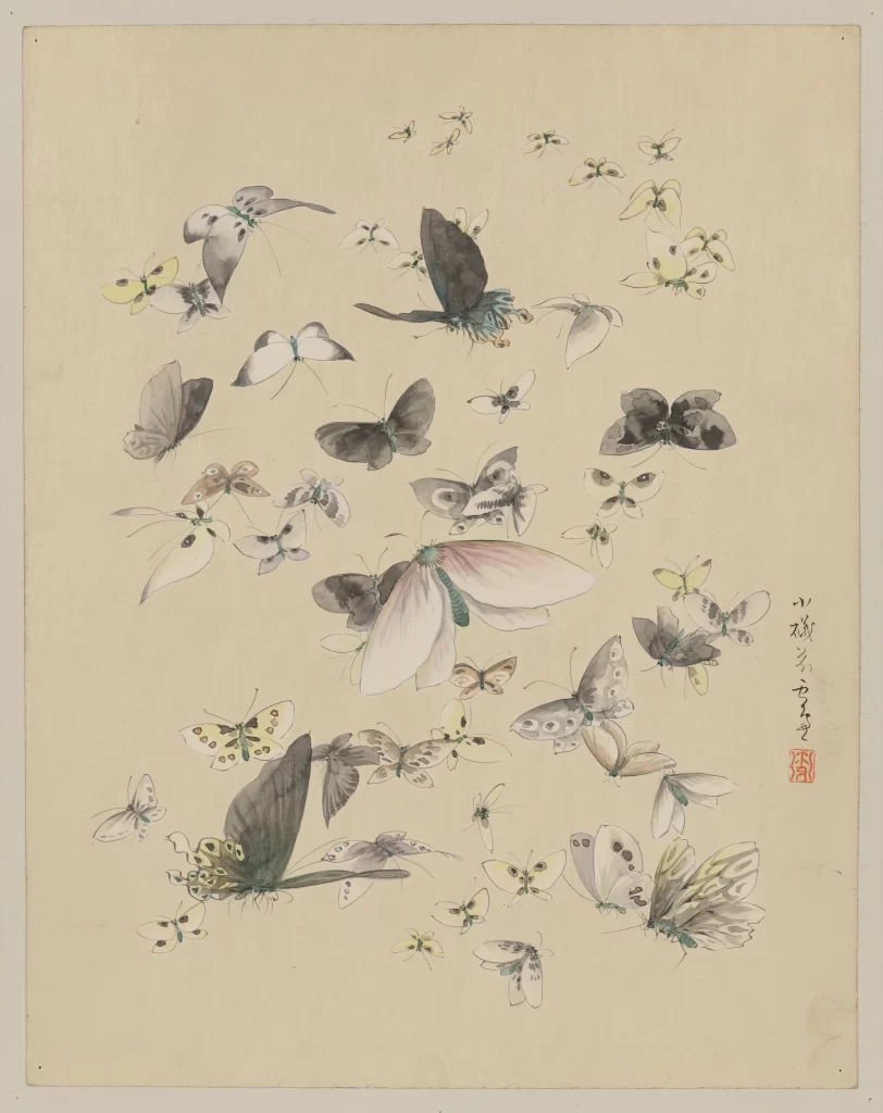 Butterflies Traditional Art Nature Delicate Patterned Serene