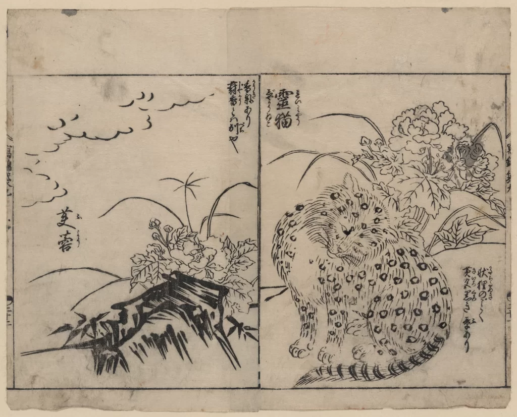 Cat Flowers Bamboo Clouds