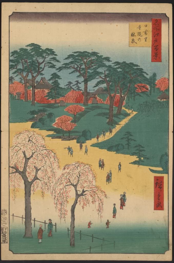 Cherry Blossoms Traditional Japanese Landscape People Nature Serene