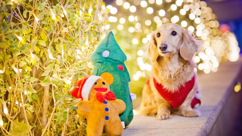 Christmas Dog Gingerbread Tree Lights Festive