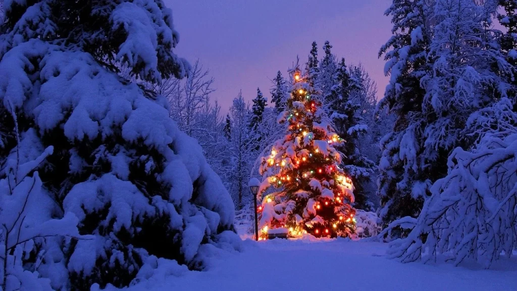 Christmas tree snow lights winter twilight