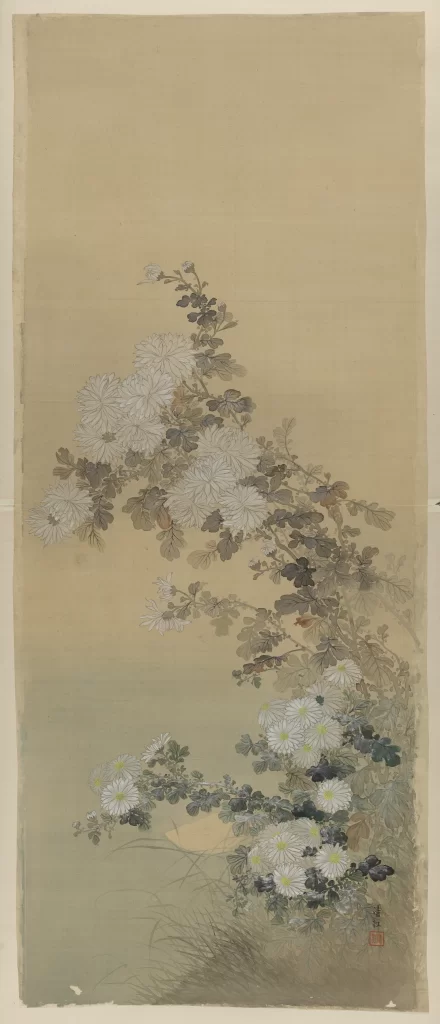 Chrysanthemums Branches Leaves Flowers Traditional Nature