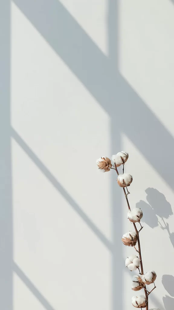 Cotton Branch Shadow Light Minimalist Serene