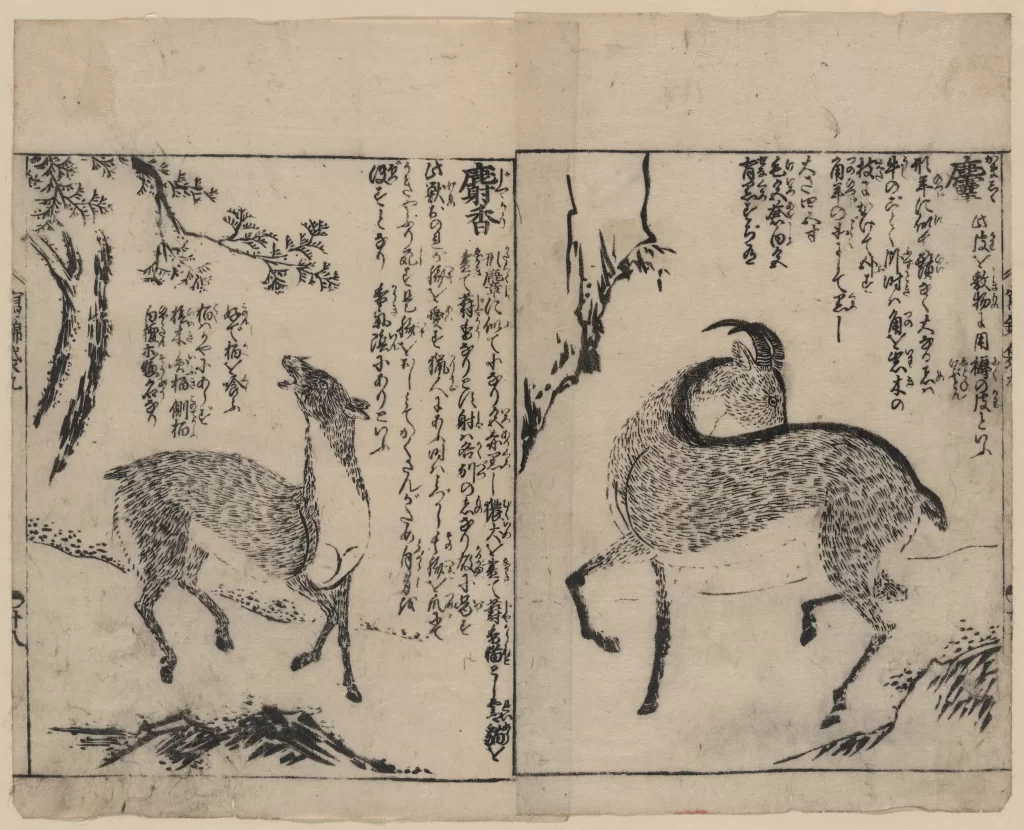 Deer Nature Trees Japanese Script Traditional Art Ukiyo-e