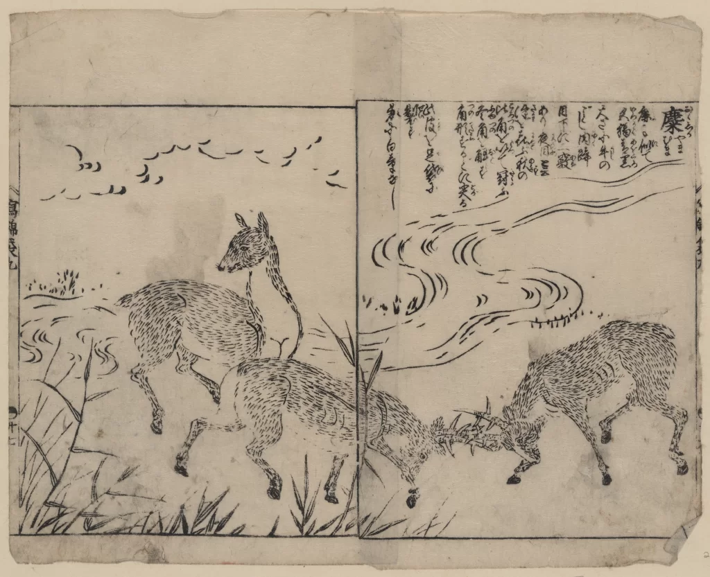 Deer Water Nature Traditional Art Japanese Culture