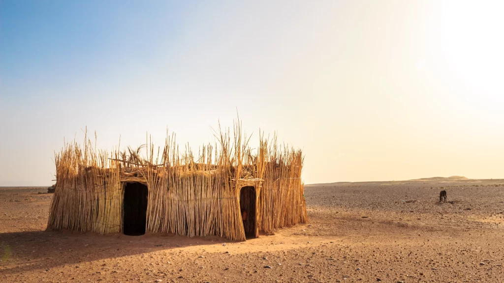 Desert hut reeds sun sky landscape