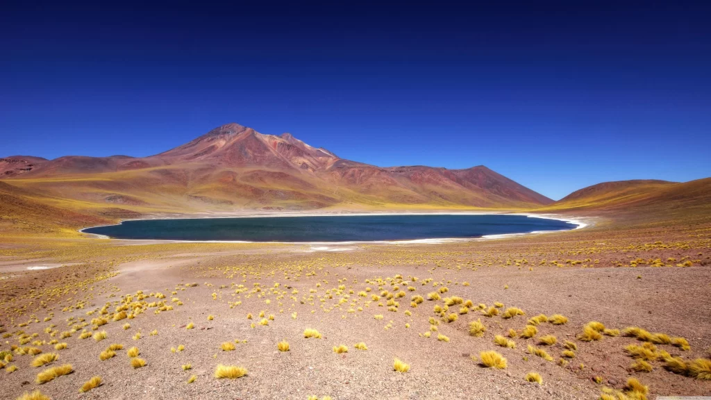 Desert Mountain Lake Clear Sky Yellow Vegetation Rugged Terrain